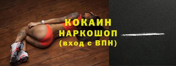 гашик Богородицк