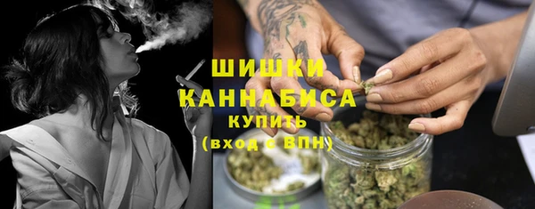 гашик Богородицк