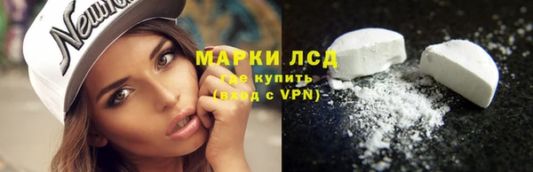 гашик Богородицк