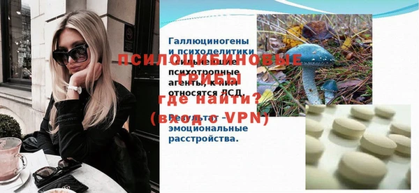 гашик Богородицк