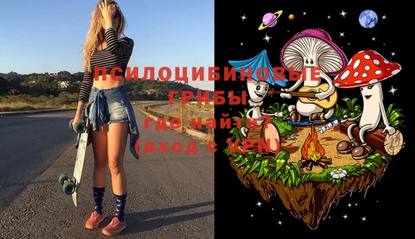гашик Богородицк